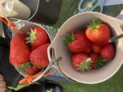 ݂ۂ񂳂̌(䂢)t@[ւ̓eʐ^1