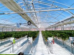 ܂Ƃ̌(䂢)t@[ւ̓eʐ^1