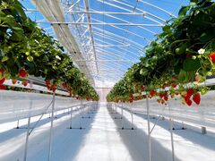 ܂Ƃ̌(䂢)t@[ւ̓eʐ^2