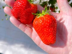 ܂Ƃ̌(䂢)t@[ւ̓eʐ^3