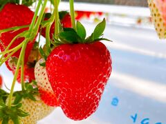 ܂Ƃ̌(䂢)t@[ւ̓eʐ^4