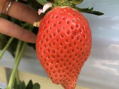 炳̉ʎ̗@c_ւ̓eʐ^1