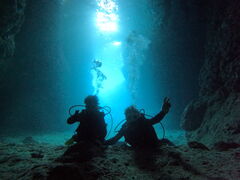 AxDiving@Shop Leii_CrOVbvCjւ̓eʐ^1