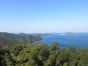 ������񂳂�̊��ˍ�̓��e�ʐ^1