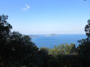 ������񂳂�̊��ˍ�̓��e�ʐ^3