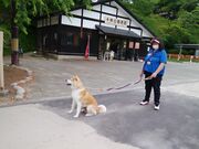 ��Ȃ�������̋v�ۓc��Ղ̓��e�ʐ^1