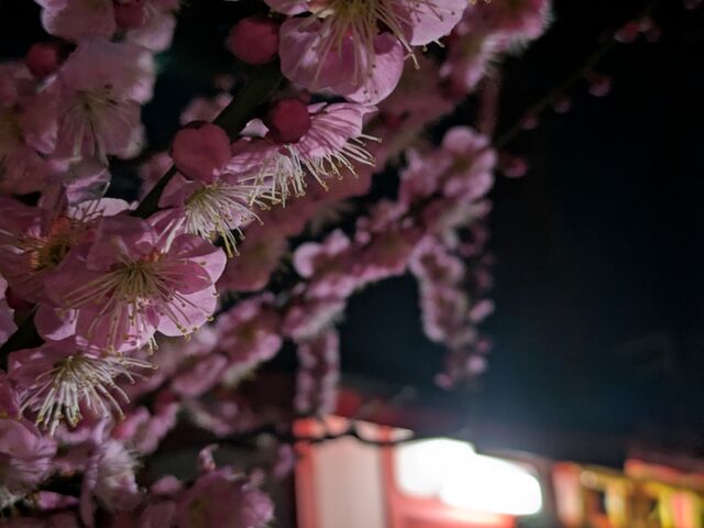 �~_�j�~�V���{