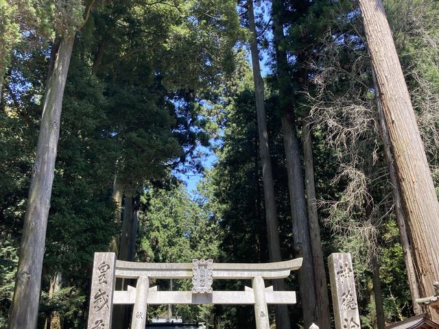 񂳂ؖ̕쐴_Ђ̓eʐ^1