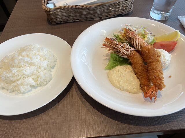 �E�L���C�V�t���C�@_�z�e�����B�X�L�I���