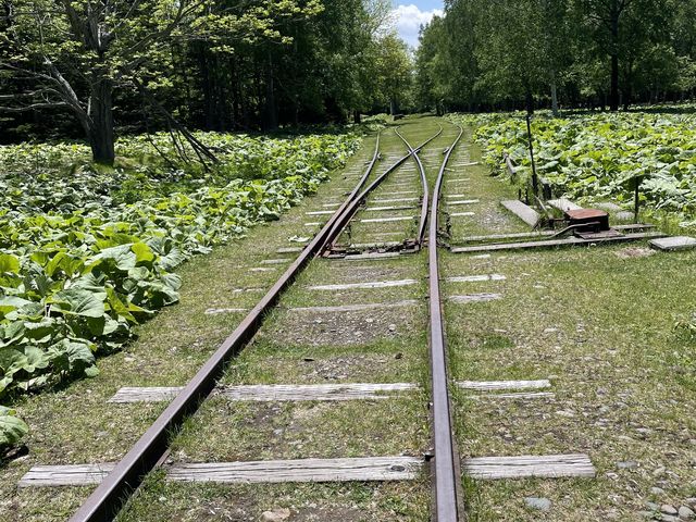 �̂��������̔z��_�Ђ�����Ꭹ�R�K�C�h�Z���^�[