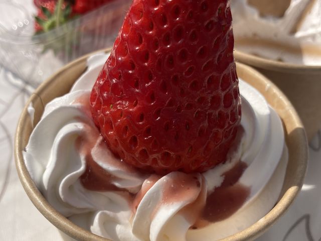 �������̃A�C�X�N���[���z�C�b�v�d����_�祂Ղ�`��