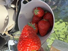 ł܂̌(䂢)t@[ւ̓eʐ^1