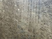 koukoůYw̓eʐ^4