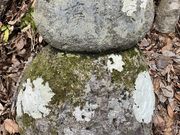 koukoůYw̓eʐ^5