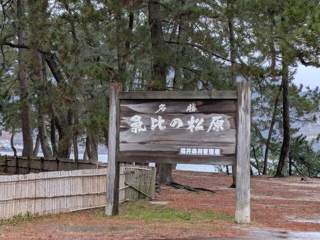 �����E�C��̏���_�C��̏���