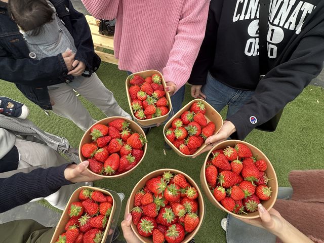 �^���ԂȂ�����_Green Room