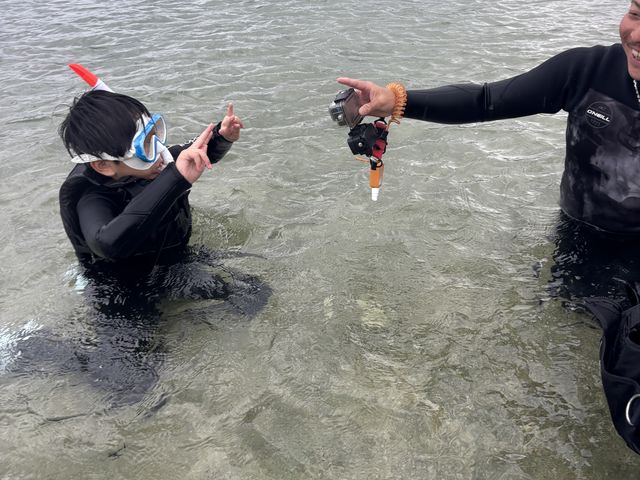 �ʐ^���B���Ă��������܂�_�w�q���̗V�я�x �}�����V���b�v��