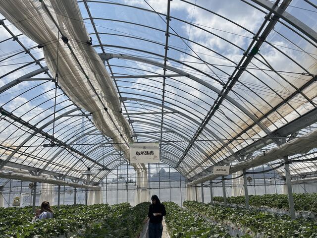 �󂪂���Ȃɂ悭������n�E�X�͏��߂Ă���_���΂���t�@�[��