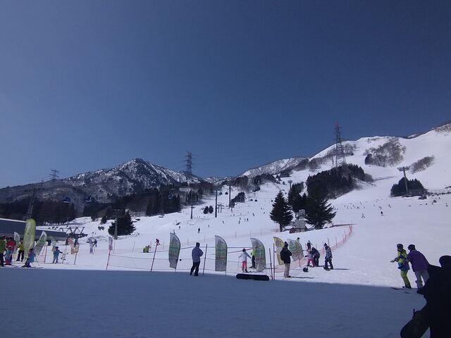 �R�����{�̃Q�����f�́A�����ۂ���ł���_�c��X�L�[��