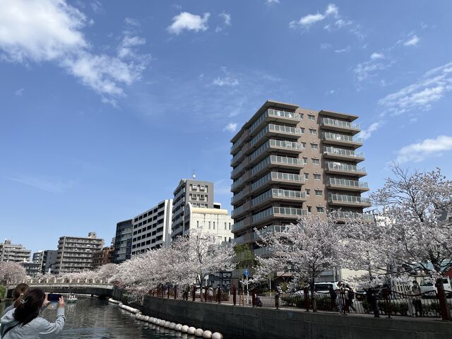 ���`�D�f�b�L����_���l ���`�D �_�i