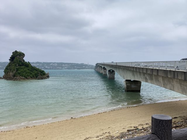 �ÉF�����ɓn��O�̈ꖇ_�m���W�I�T�C�N��