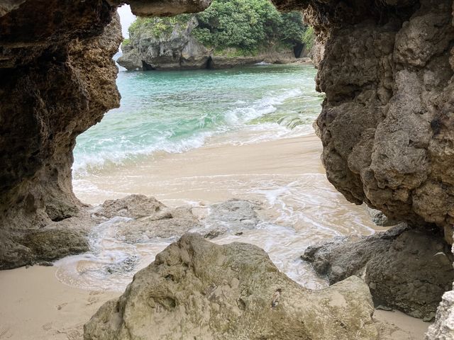 �I�X�X���X�|�b�g�������Ă���܂���_�m���W�I�T�C�N��