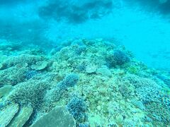 ݂̐Ί_ ADVENTURE PiPiւ̓eʐ^1