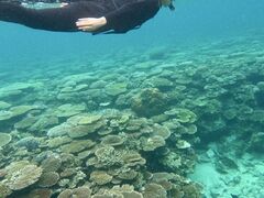 ݂̐Ί_ ADVENTURE PiPiւ̓eʐ^1