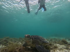 Ё[񂳂OCEANZ - I[VYւ̓eʐ^1