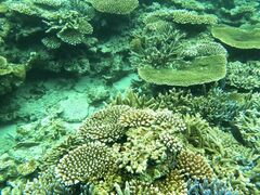 ݂̐Ί_ ADVENTURE PiPiւ̓eʐ^1