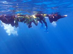 ̐Ί_ ADVENTURE PiPiւ̓eʐ^1