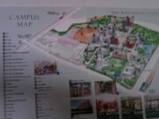 Tv̔Tؑ叫ocd̓eʐ^2