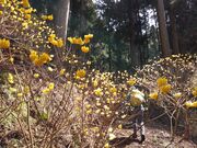 TNTÑ~c}^isu~c}^̌Qnj̓eʐ^3