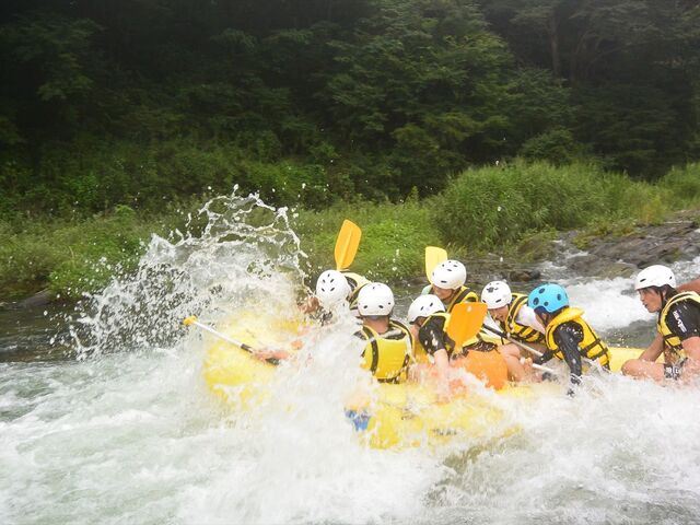 �ʐ^���Ă邾���Ŋy������������(*߁��*)_�����_�[�p���_�C�X����