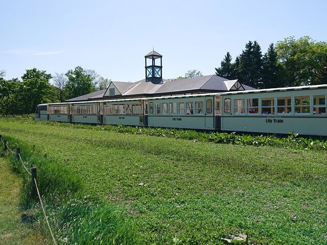 �����[�g���C���ŉ���������ł���_�S����������