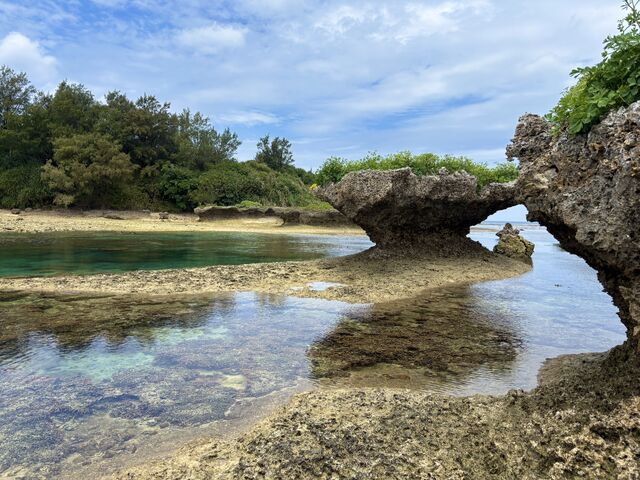 �����x���������Y��ł���_feelokinawa