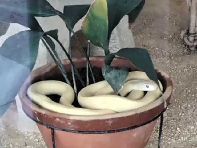 ͂񂳂̔֊ϗ{݂̓eʐ^3