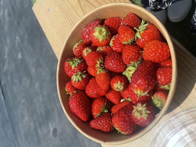 L�T�C�Y�ł��B_Green Room