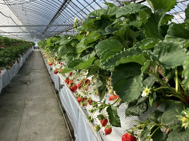 �������A�������A������_�����C�`�S��