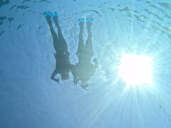 lt̐Ί_ ADVENTURE PiPiւ̓eʐ^1