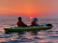 �R�R�A����̋��Y�r�[�`�@�r�[�`�n�E�X�E���p���ւ̓��e�ʐ^1