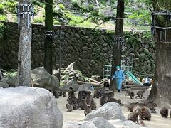 �����Ƃ���̍���R���R�������ւ̓��e�ʐ^1