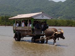 \ ADVENTURE PiPi̎ʐ^1