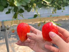 ܂肦̉ʎ̗@c_ւ̓eʐ^1