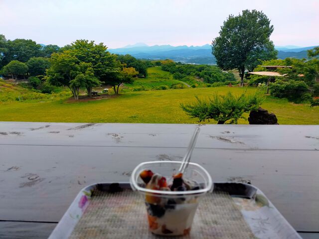 �T�[�r�X�\�t�g_��]�̋u�_��