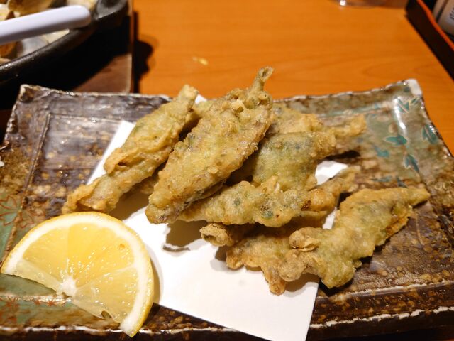 Ls@тCN Ȏs L{ʗX_тCN Ȏs