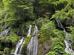 �Q�b�c����̓f���̑�ւ̓��e�ʐ^1