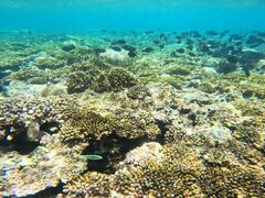 ˂POWER MARINEip[}jꍡAmւ̓eʐ^2