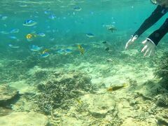 ˂POWER MARINEip[}jꍡAmւ̓eʐ^3