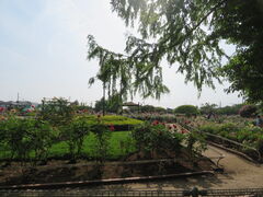 L̈ɓޒ{sLOւ̓eʐ^1